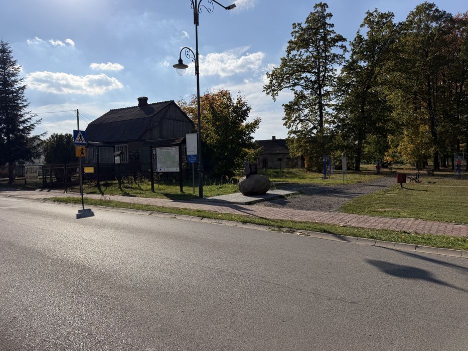 Dom z budynkiem gospodarczym - Widok 4
