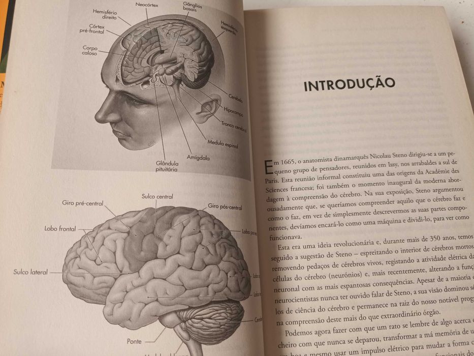 "Uma História do Cérebro" por Matthew Cobb - 1ª Edição