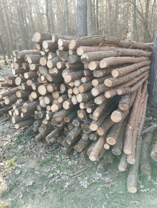 Stemple budowlane i ogrodzeniowe