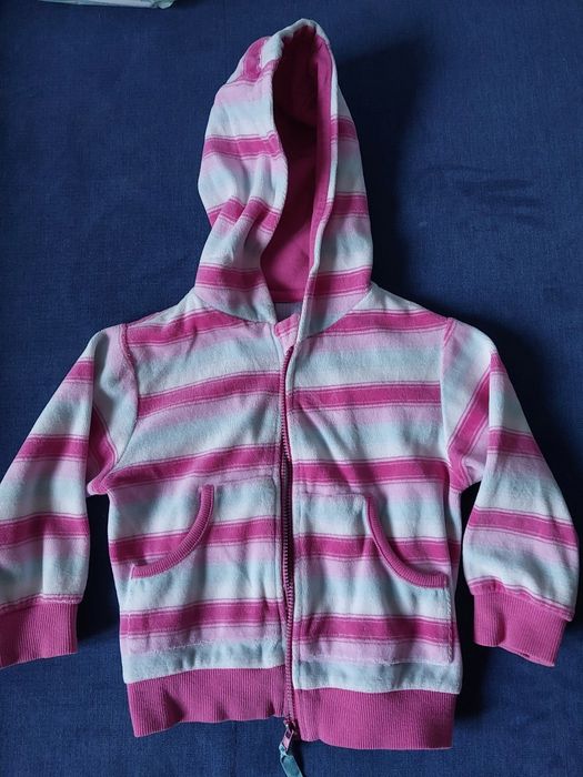 Bluza Coccodrillo 80