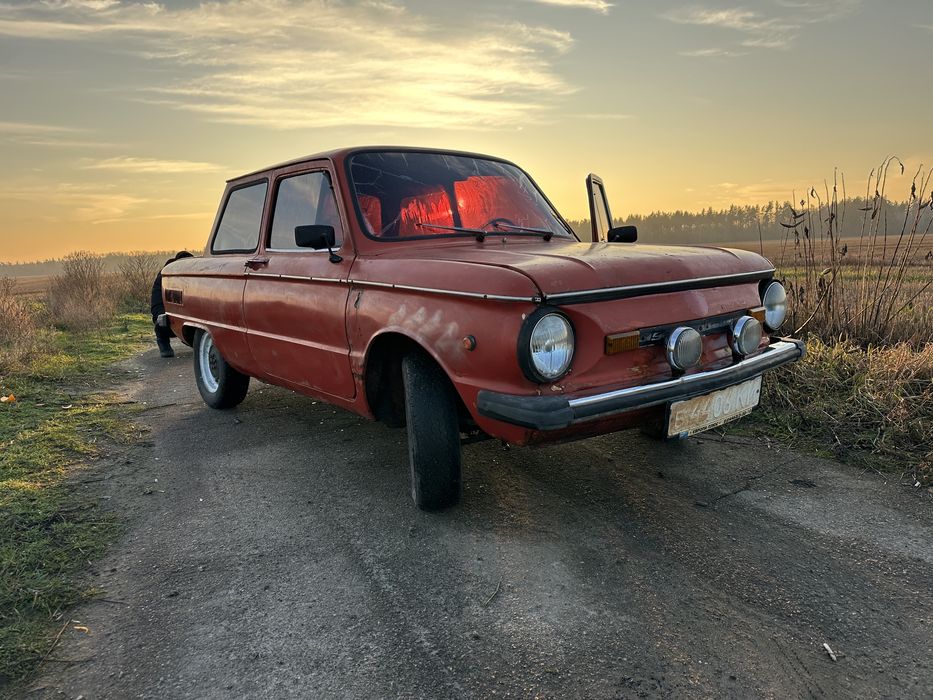 Продам зазіка легенду