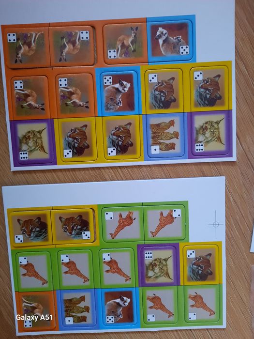 Domino obrazkowe zwierzeta Aleksander