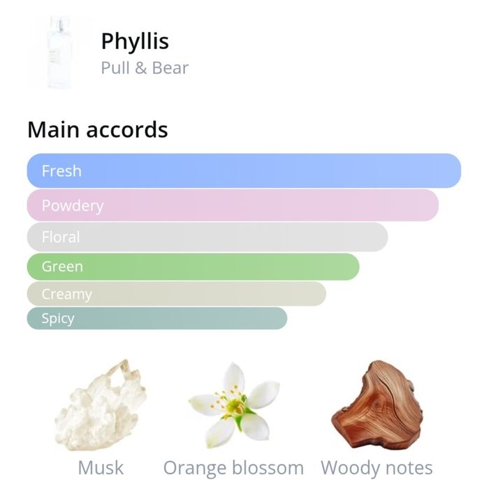 туалетна вода " Phyllis " від Pull&Bear