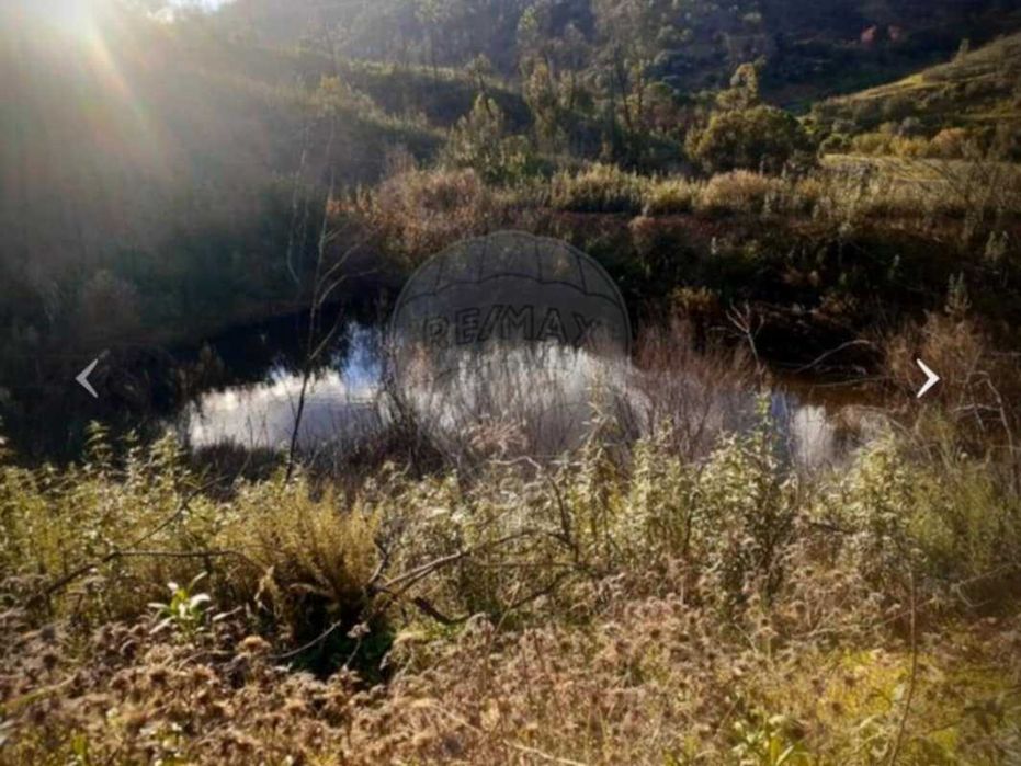 Quinta aprazível, perto de Silves com ribeira e com parcela urbana