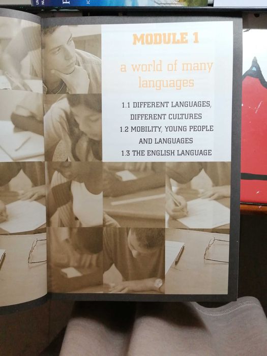 Preparar os testes de inglês do 10º ano.