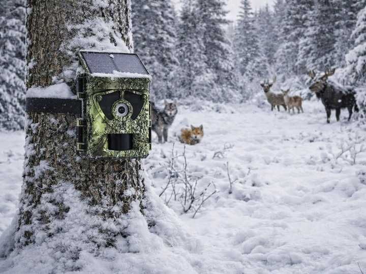 PANEL SŁONECZNY 4k WIFI fotopułapka kamera leśna myśliwska solarna