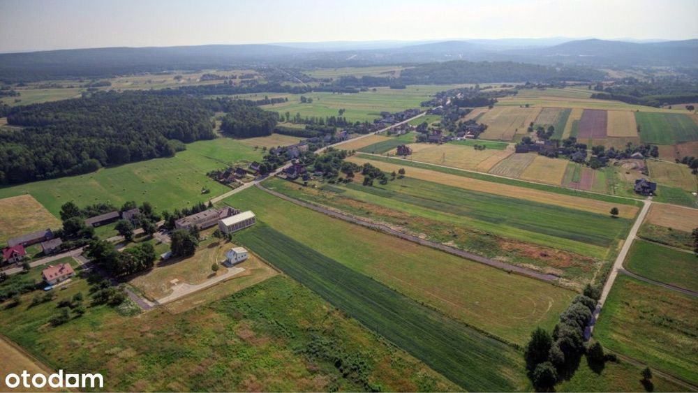 Pępice - piękne działki widokowe!