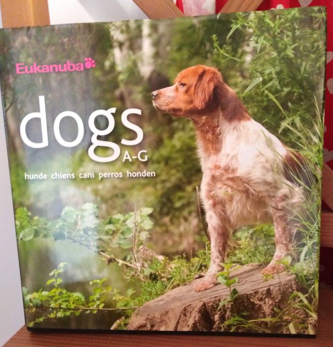 Eukanuba Album Rasy Psów A - G