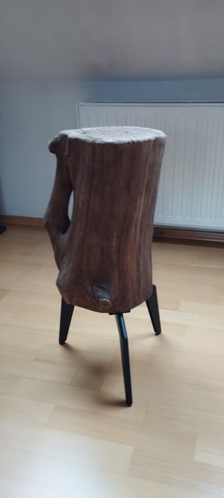 Pień z dąb naturalny