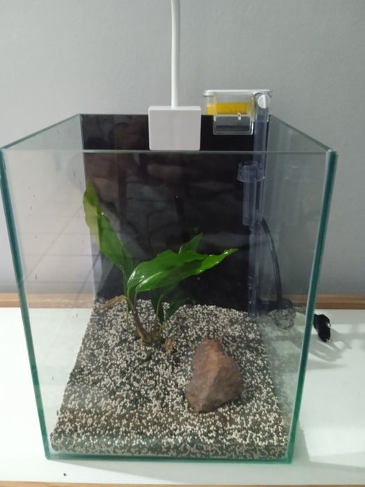 Aquário 20x20x25 novo "kit promocional""