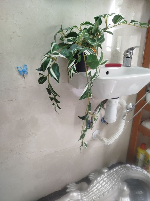 Pack 4 Plantas Artificiais Suspensas – Ideal para Casa de Banho / Interiores