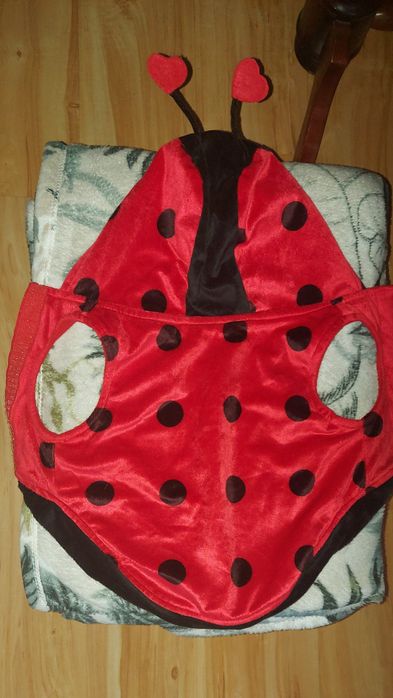 Ubranko,sweter,Biedronka" z aksamitu dla małego psa 4-6 kg,na rzepy,u