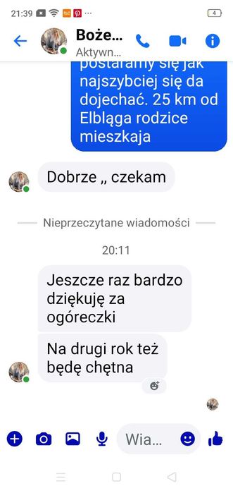 Ogórki uprawiane na emach