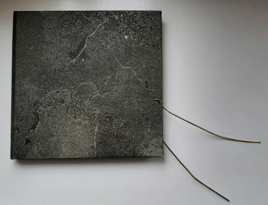 Szczecin pamiątkowy medal z brązu