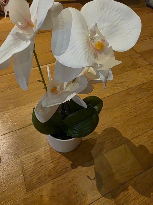 Sztuczny storczyk w doniczce