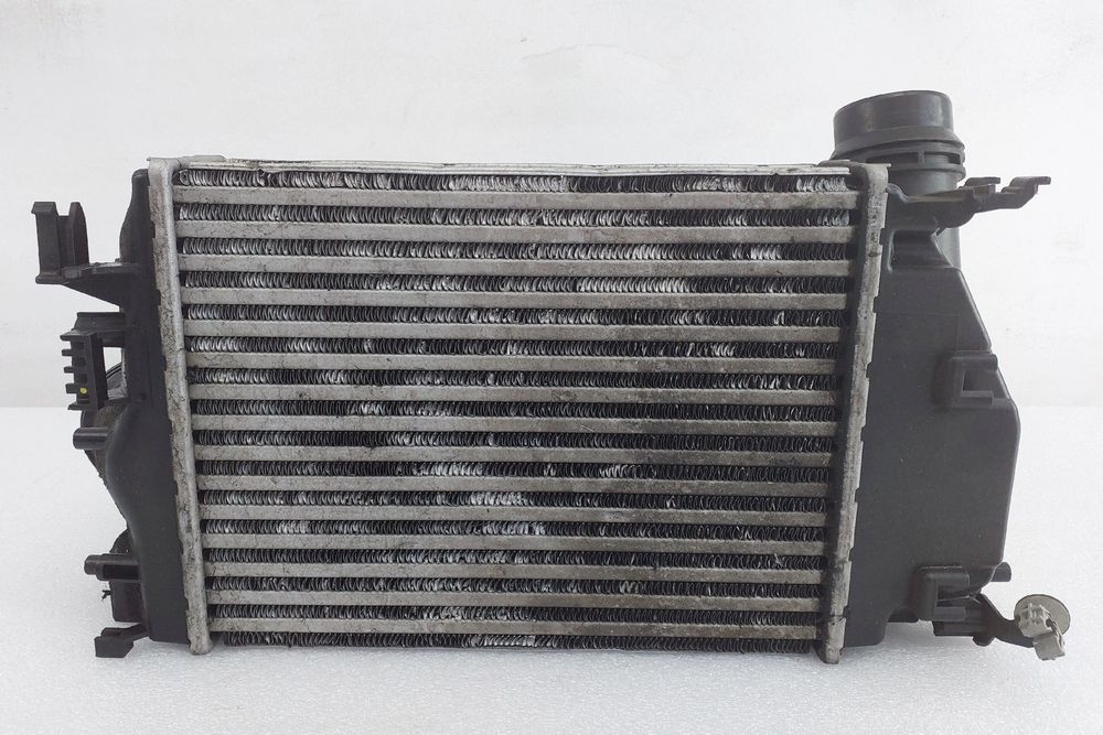 Radiador do intercooler RENAULT Megane IV (B9A/M_)