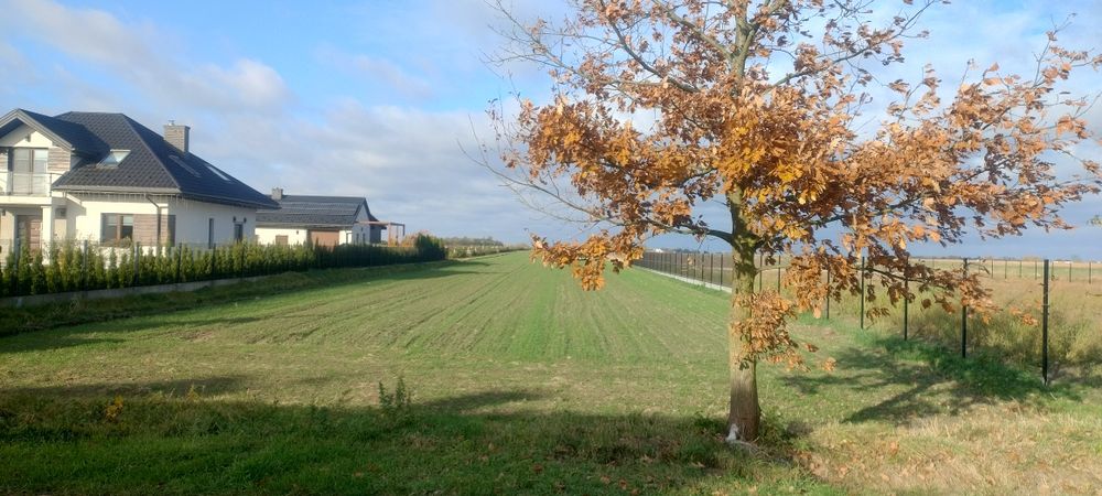 Działka rolno-budowlana 90ar, Polesie Duże - Widok 3
