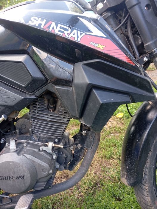 Shineray ds200   торг