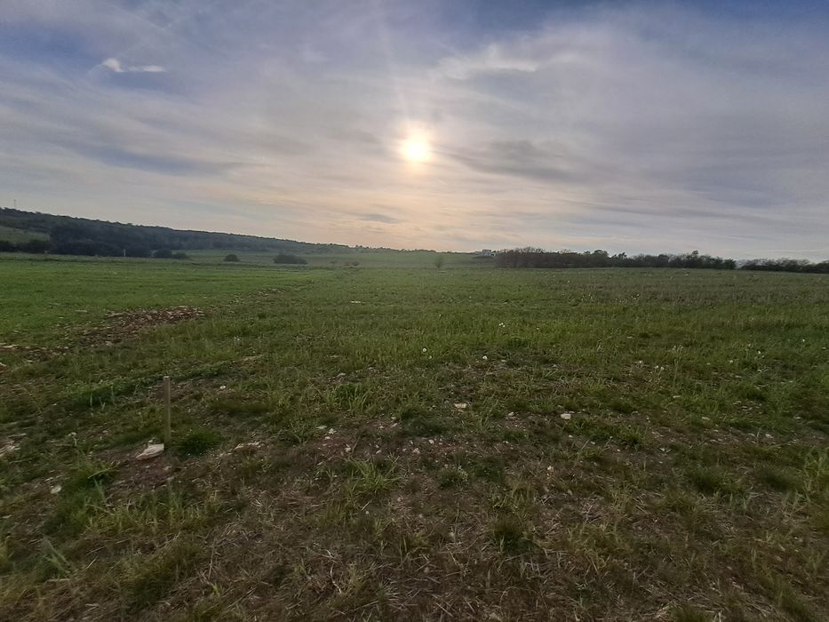 Działki na sprzedaż Sadowie