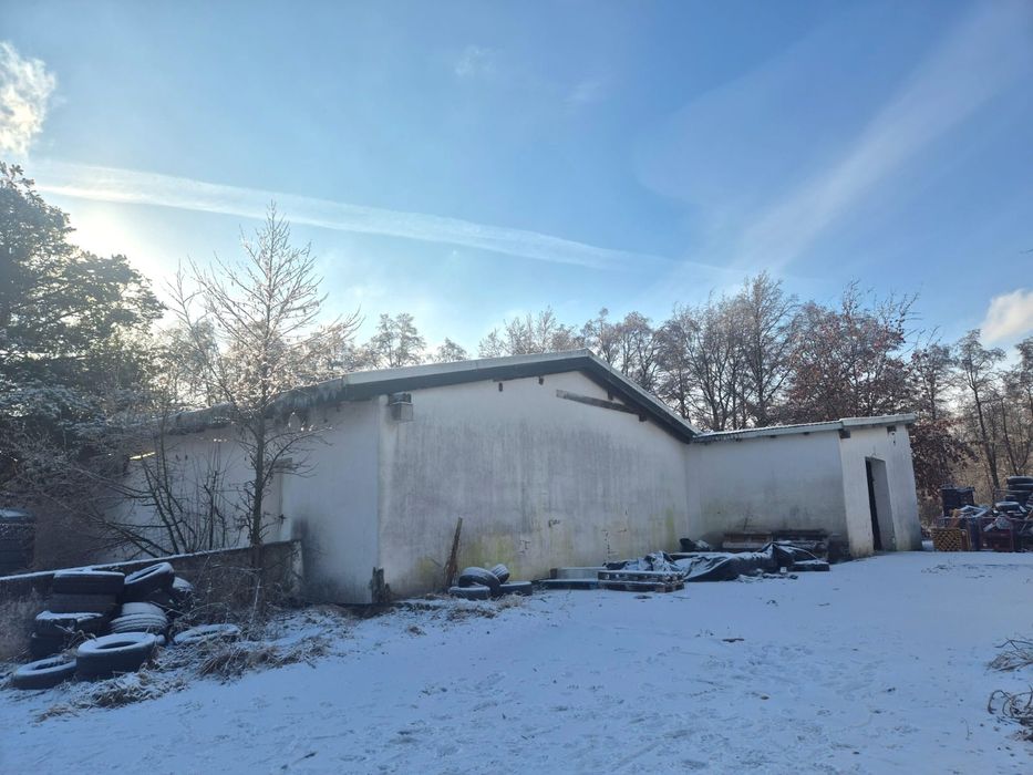 Hala magazynowa chłodnia rampa