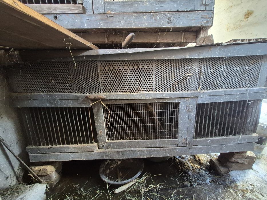 Клітки для кроликів