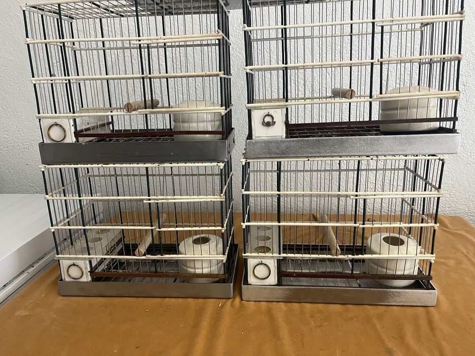 Gaiolas para passaros