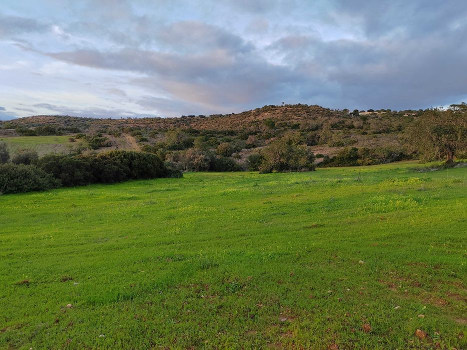 Arrendamento de Terreno
