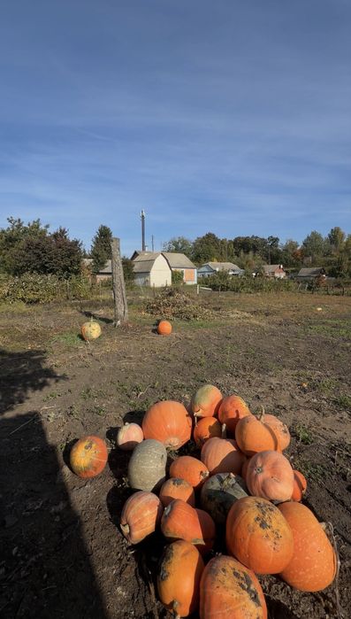 Продаж будинку  в Козятині