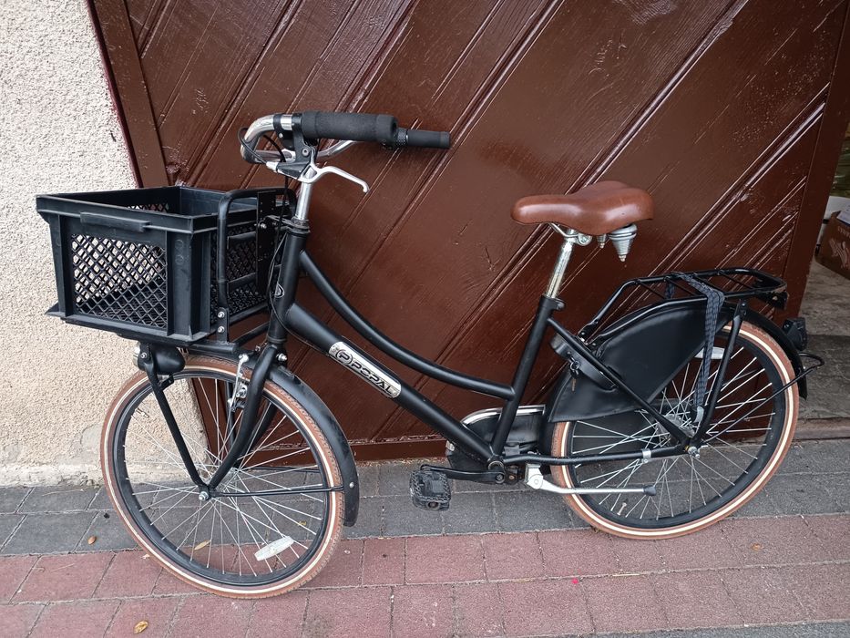 Rower Holenderski (p)popal