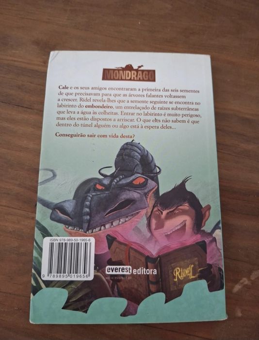 Livro O Embondeiro