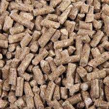 Пивна дробина корма