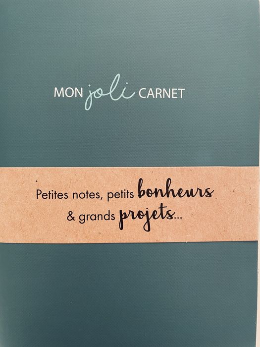 Набір записників - нотатників Camaïeu (made in France), 2 шт.