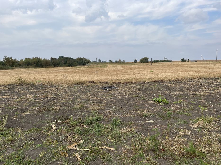 Продам будинок з участком с.Нізгірці