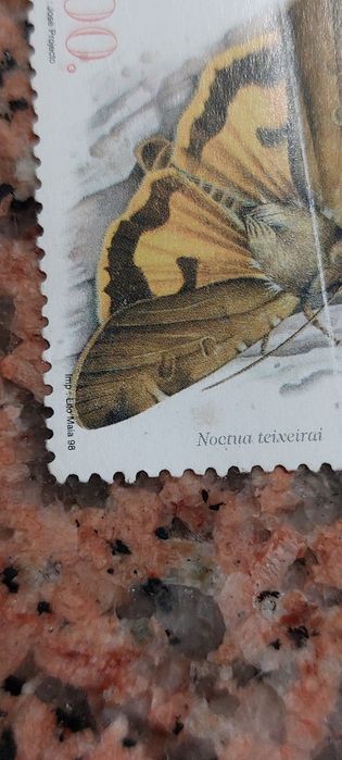 Selo 1998 Madeira 100$