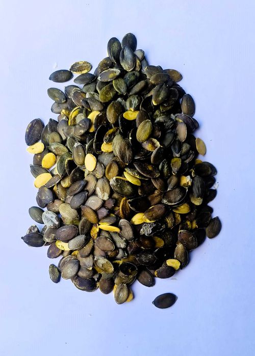 Dynia bezłuskowa bezłupinowa oleista pestki wysyłka od rolnika