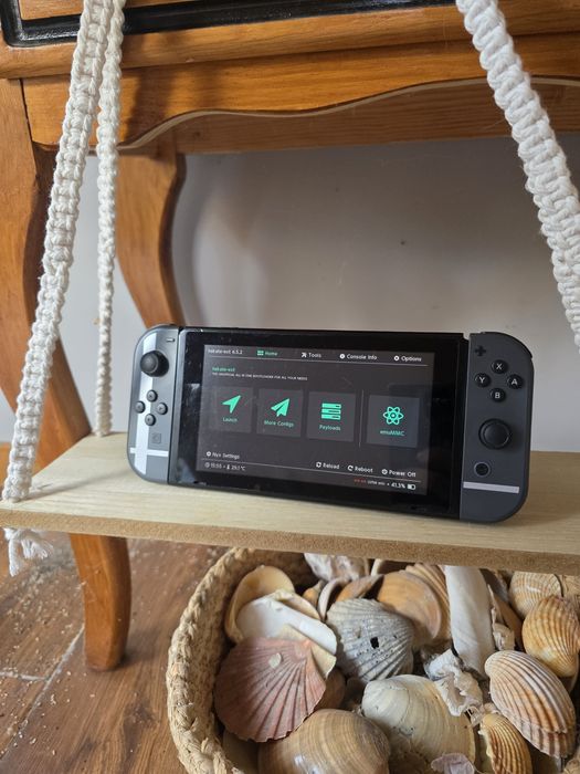 Nintendo Switch L
