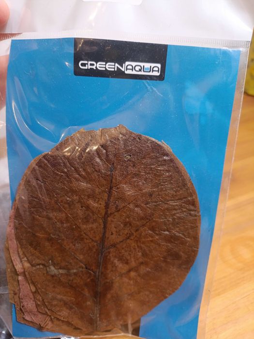 szyszki olchy i liście do akwarium green aqua