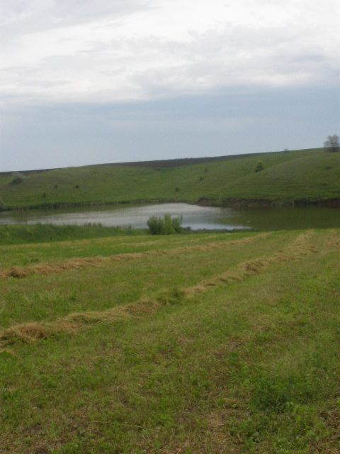 Продам будинок біля озера