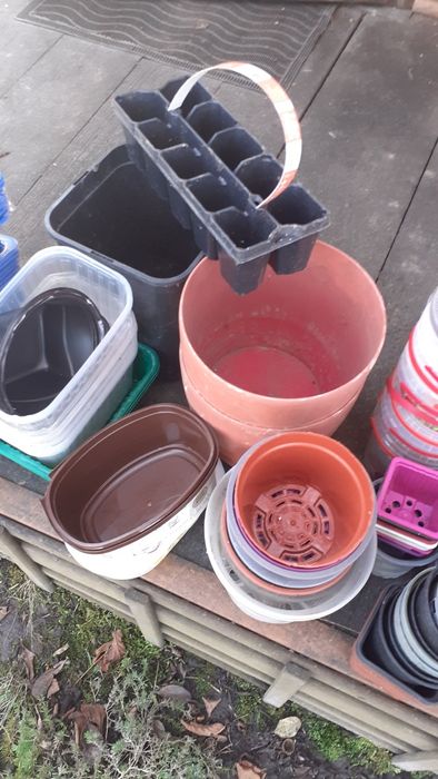 Doniczki produkcyjne 130 szt