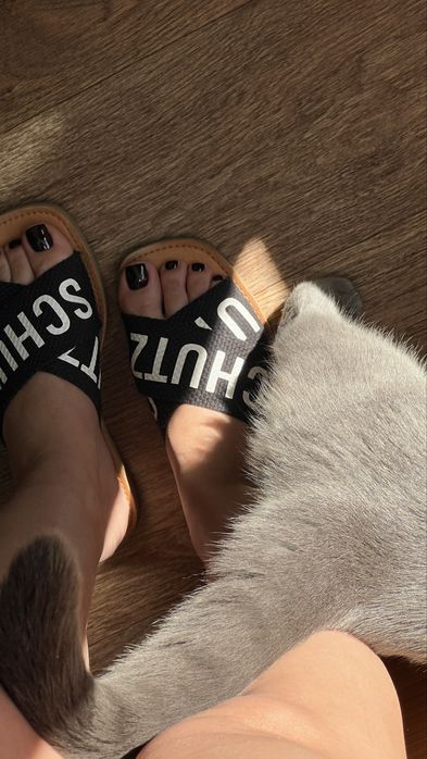 Шльопанці schutz