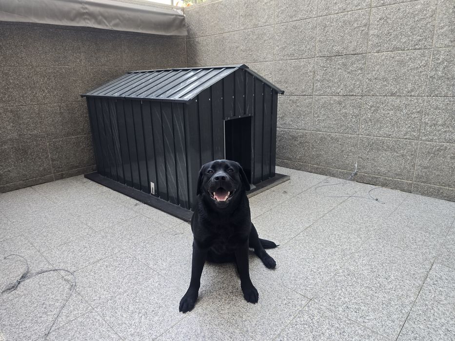 Casota

113x153x101 cm aço galvanizado