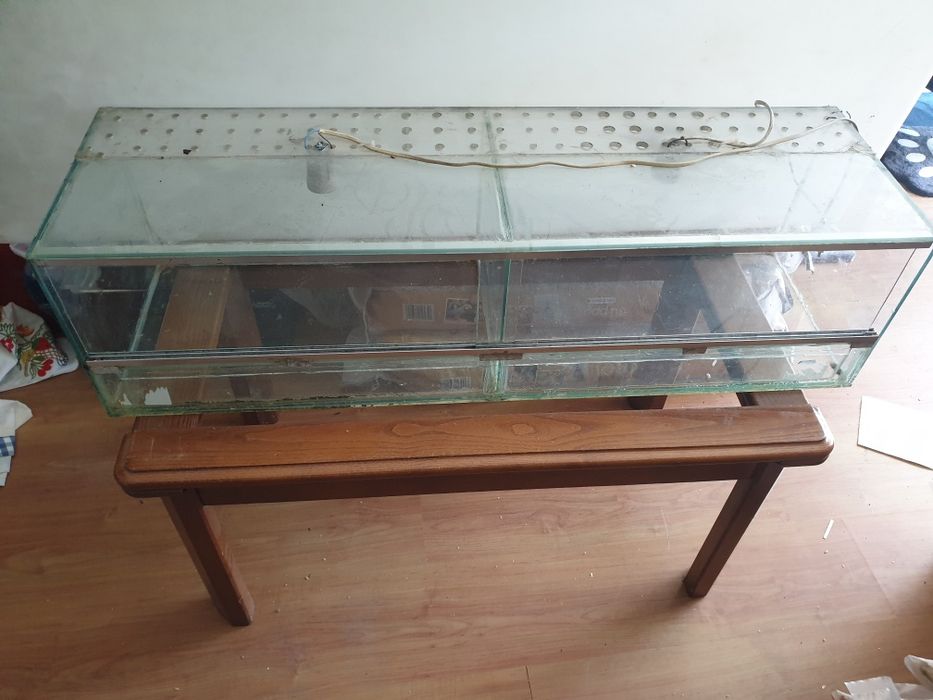 Terrario duplo em muito bom estado