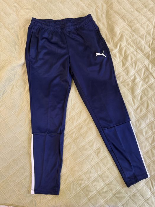 Штаны Puma Team Liga Training