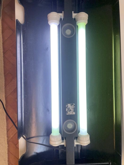 Aquário vidro - 100L - muito bom estado, com tampa e iluminação