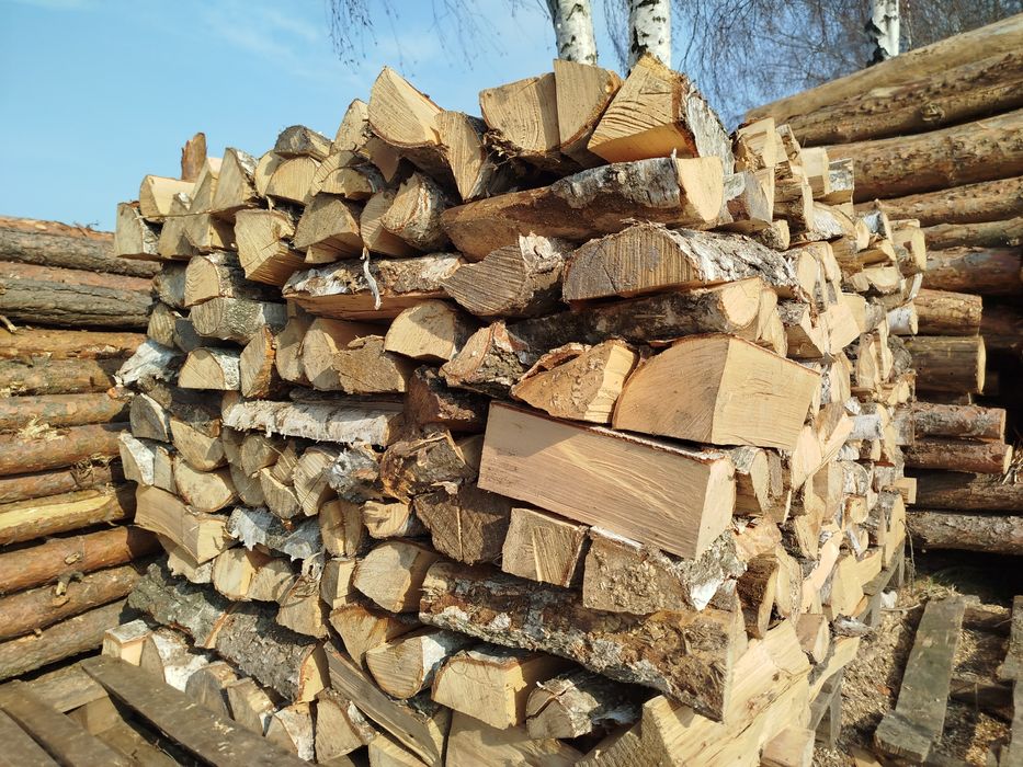 Drewno opałowe brzoza dąb sosna