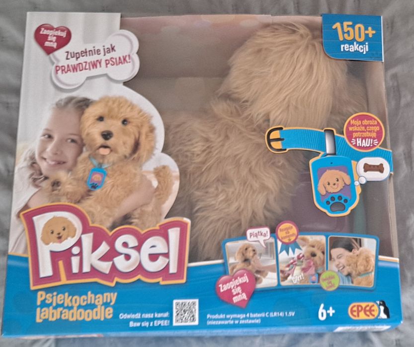 Pies interaktywny Piksel