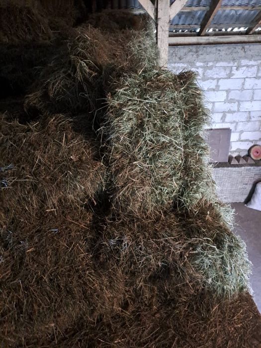 Sprzedam siano i słome w kostkach