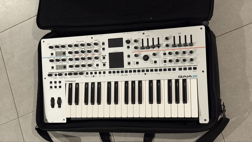 Roland gaia 2 + bag