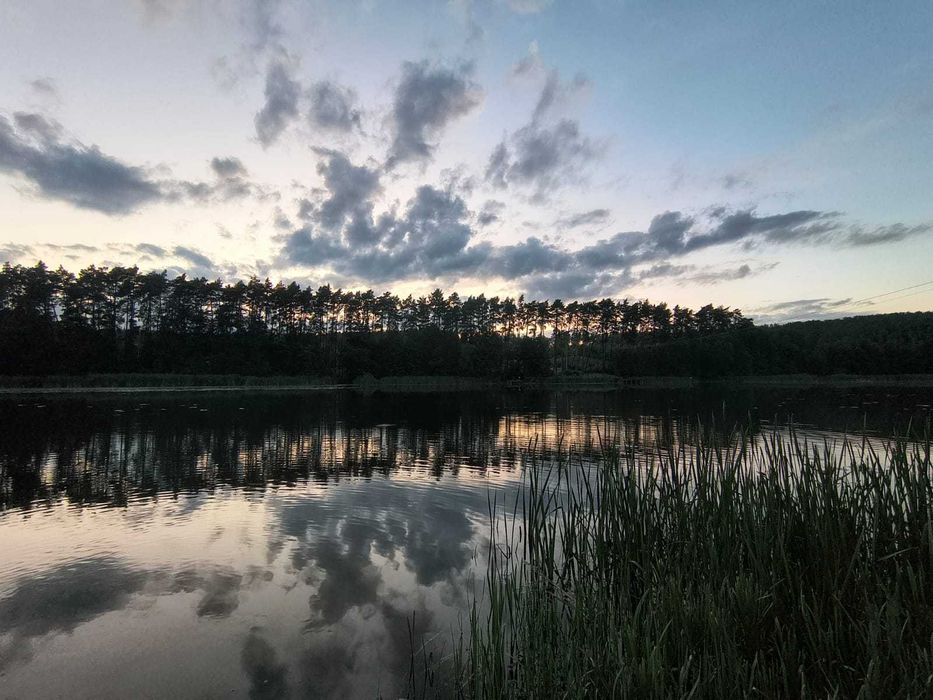 Domek nad jeziorem 'w sam las'