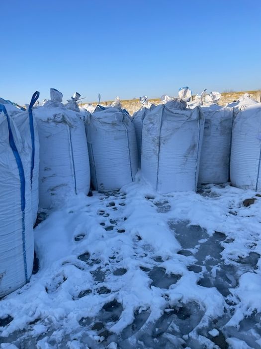 Kukurydza CCM srutowana